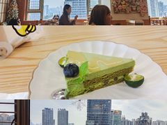 -豆柴町-柴犬主题狗咖(红鼎国际C座店)