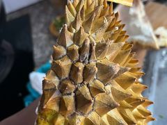 -沃尔玛(平阳鳌江店)