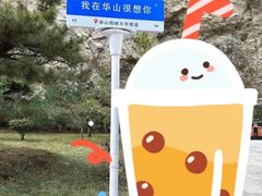 -华山风景名胜区