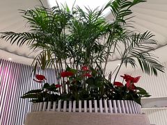 -LANN I 蘭 SPA(陆家嘴中心店)