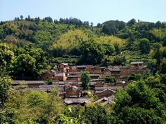 -杨家堂村