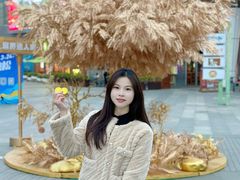 -万科生活广场(东莞松山湖店)
