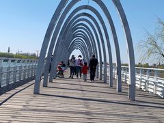 -大兴滨河森林公园