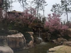-秀丽东方