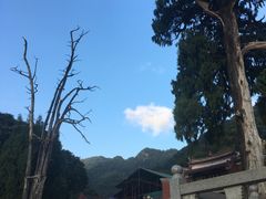 -灵光寺