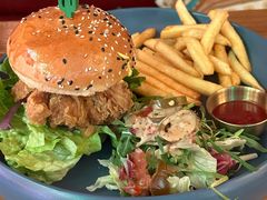 -Famous肥猫墨西哥音乐餐吧(五棵松华熙LIVE店)
