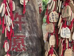 -莫里热带雨林景区