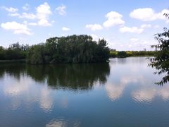 -大兴滨河森林公园