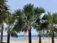 -大梅沙海滨公园