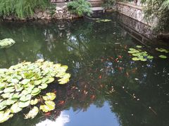 -复旦大学附属华山医院(总院)