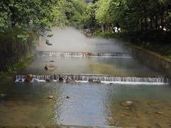 -广州白江湖森林公园