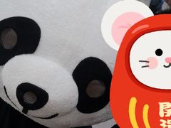-熊猫不走蛋糕（同城送）(长沙店)