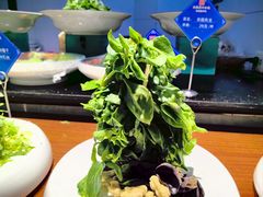 -老德州四合院·德州菜(天衢路店)