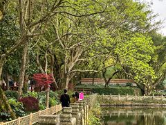 -普陀山风景名胜区-法雨禅寺