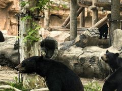 -上海野生动物园