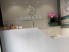 -关爱宠物医院·猫科中心·消化科(滨湖万达分院)