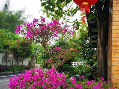 -生态苑农庄(十里画廊遇龙河店)