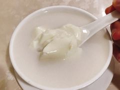 椰汁双皮奶-老周记顺德双皮奶