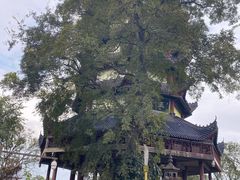 -丰都鬼城名山景区