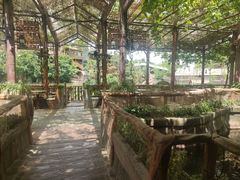 -长鹿旅游休博园