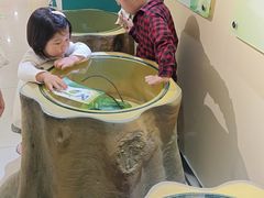 -上海昆虫博物馆