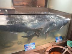 -上名堂·鱼头好吃(体育场路店)