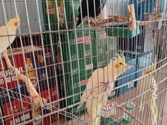 -姥家大锅台水库渔家