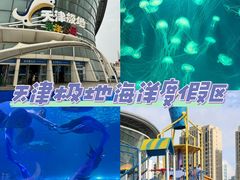 -海合安天津极地海洋公园