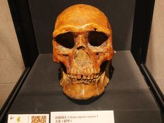 -周口店北京人遗址公园