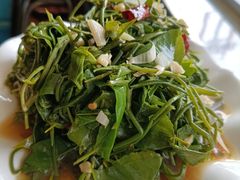 -蓝旗蒙餐