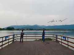 -长田漾湿地公园