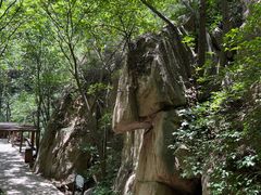 -大岭沟猕猴桃谷风景区