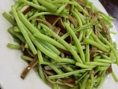 -余杨鸭鸭餐厅