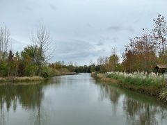 -溱湖国家湿地公园