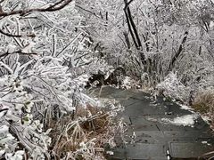 -永州阳明山国家森林公园