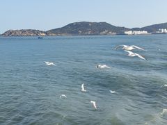 -湄洲岛