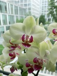 -变画·发型STUDIO