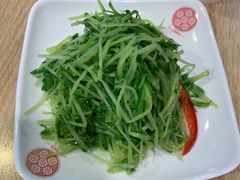 香嫩豌豆苗-老班长手工灌汤包老店(东山店)