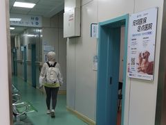 -北京观赏动物医院·24小时大型综合·猫专科·异宠专科