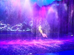 -芜湖新华联大白鲸海洋公园