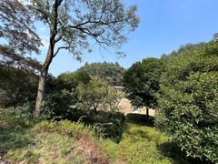 -韶山毛泽东同志故居