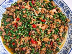 -铁山坪森林公园