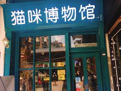 -猫咪博物馆(顶澳仔猫街店)