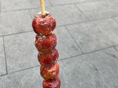 -糖葫芦王保定名吃(古莲花池店)