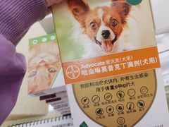 -天宠宠物医院24小时·急重症诊疗中心·全科·腔镜特色(和平分院)
