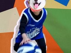 -东方启明星篮球培训(北科大校区)