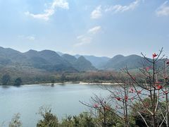 -海南霸王岭国家森林公园