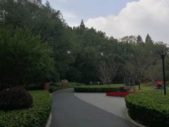 -徐家汇源景区-衡山公园