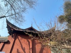 -老桂湖公园-杨升庵博物馆