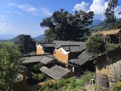 -杨家堂村
